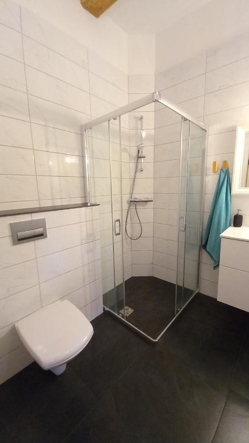 Appartement Turisma Mitne Zviedri à Līgatne Extérieur photo