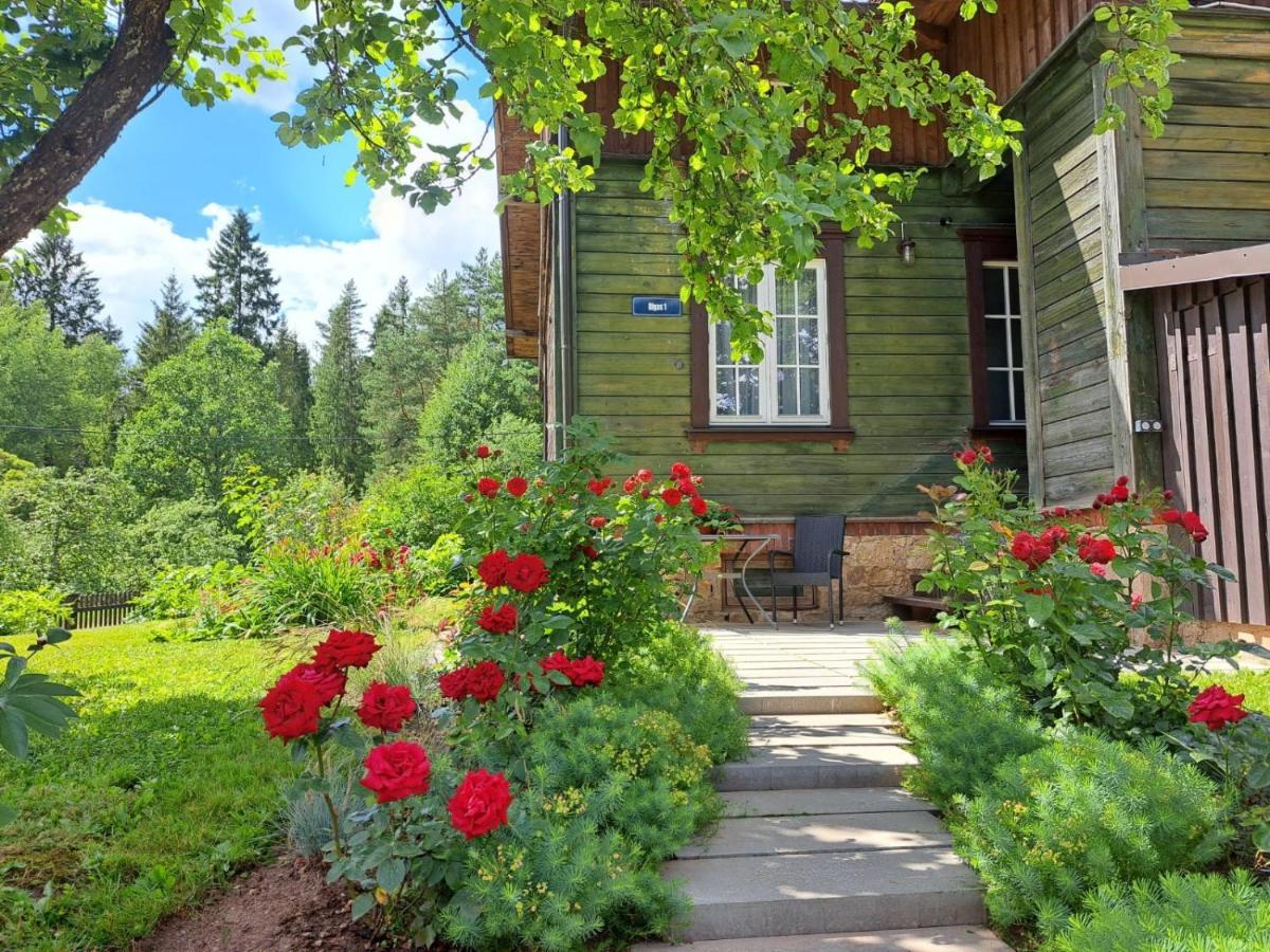 Appartement Turisma Mitne Zviedri à Līgatne Extérieur photo
