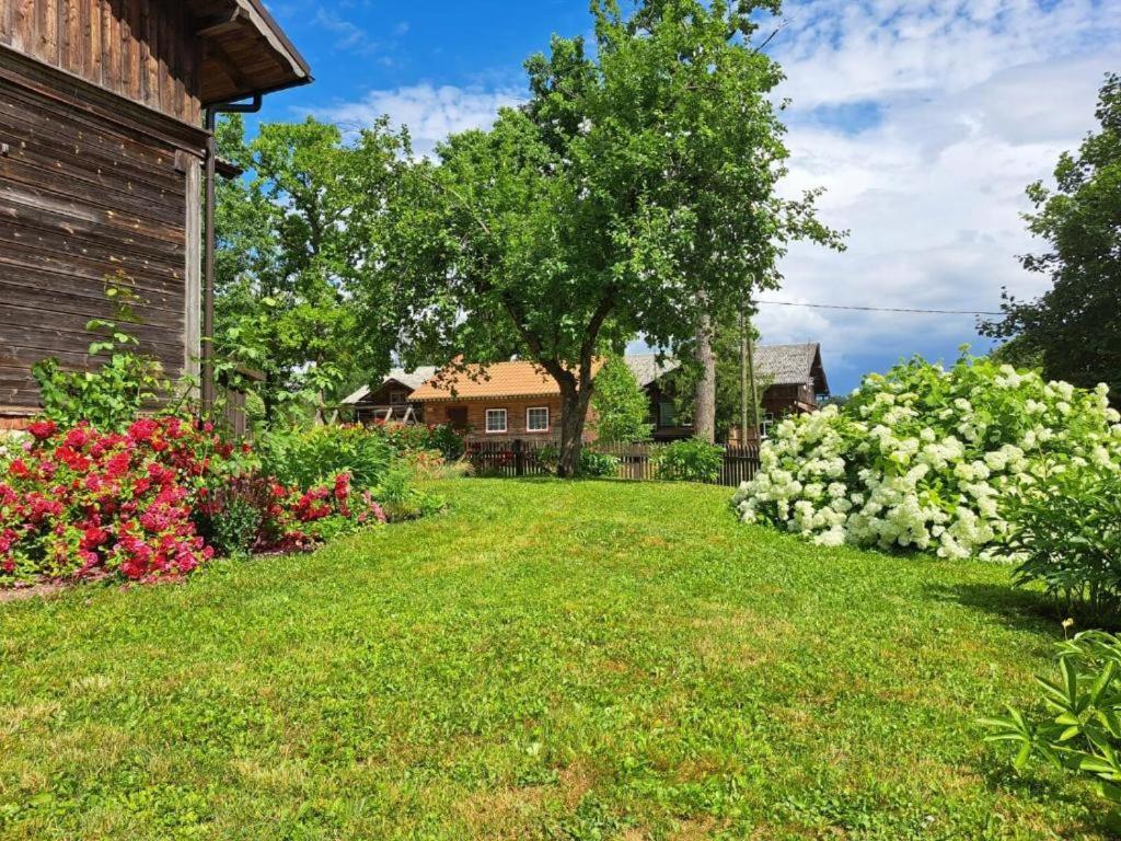 Appartement Turisma Mitne Zviedri à Līgatne Extérieur photo